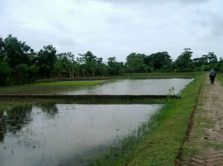 The waterlogged coastal landscape of Khulna, Bangladesh